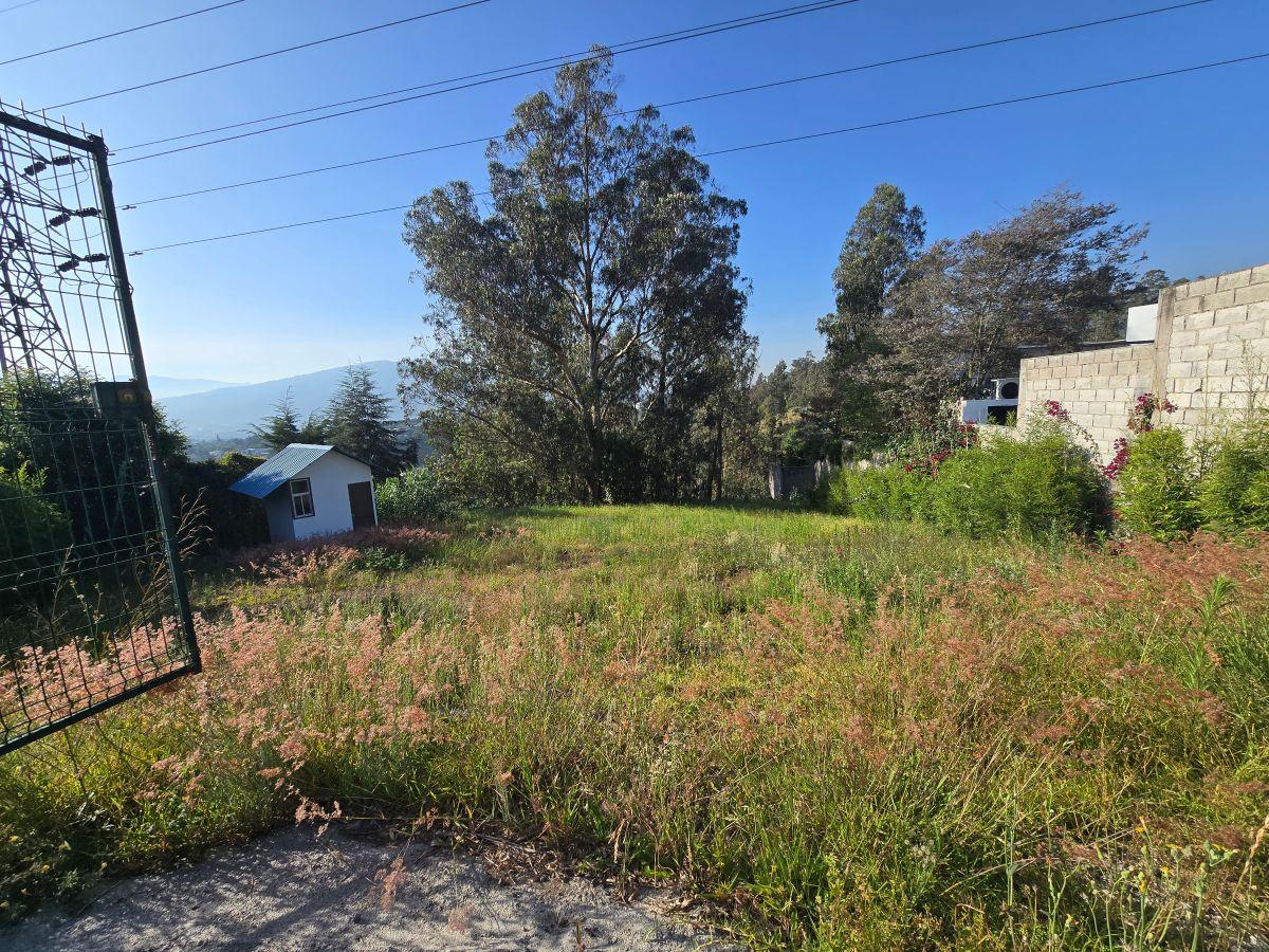 Venta Terreno Nayón en San Francisco de Tanda Calle Leonardo Deubler S/n — imagen 7