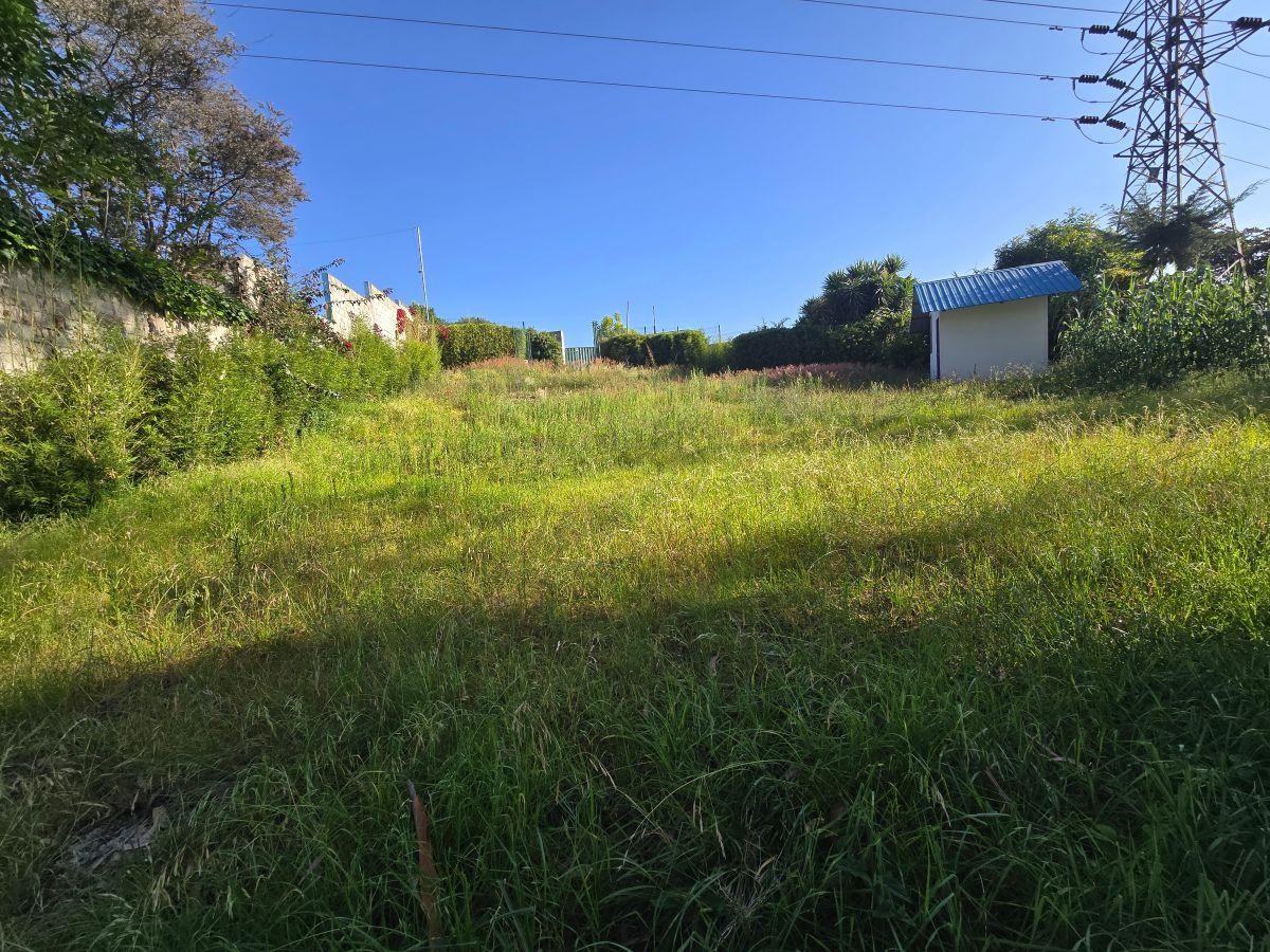Venta Terreno Nayón en San Francisco de Tanda Calle Leonardo Deubler S/n — imagen 6