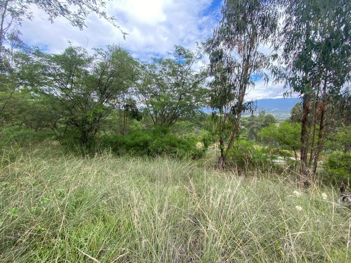 Venta Terrenos Tumbaco Sector Collaqui — imagen 2