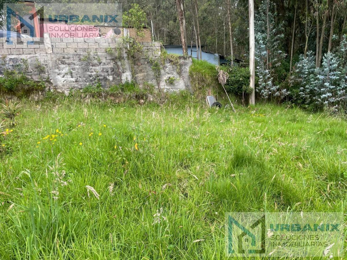 Terreno en Norte de Quito — imagen 6