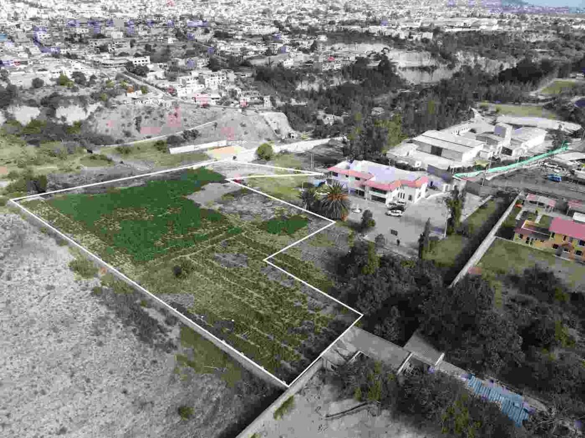 Venta Terreno 8.000 m² San Antonio — imagen 7