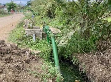 Terreno Para Sembríos 9 Hectáreas Km²6 Vía a La Costa C. Alvarez, Guayas — imagen 4