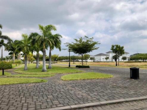 Aires del Batan Terreno en Venta Samborondon Km 8, Guayas — imagen 9