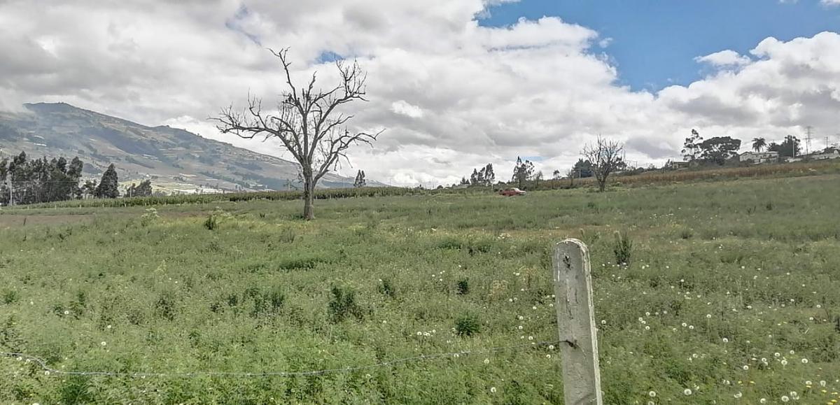 Terreno en Venta en Unamuncho Ambato. 4 Hectáreas. Tungurahua — imagen 9