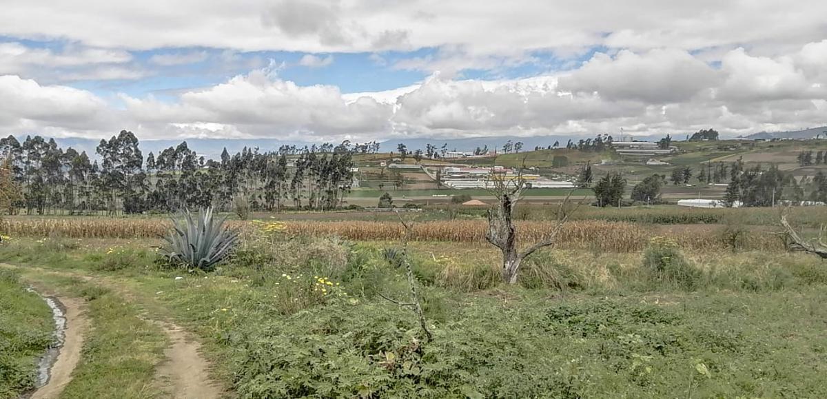 Terreno en Venta en Unamuncho Ambato. 4 Hectáreas. Tungurahua — imagen 8
