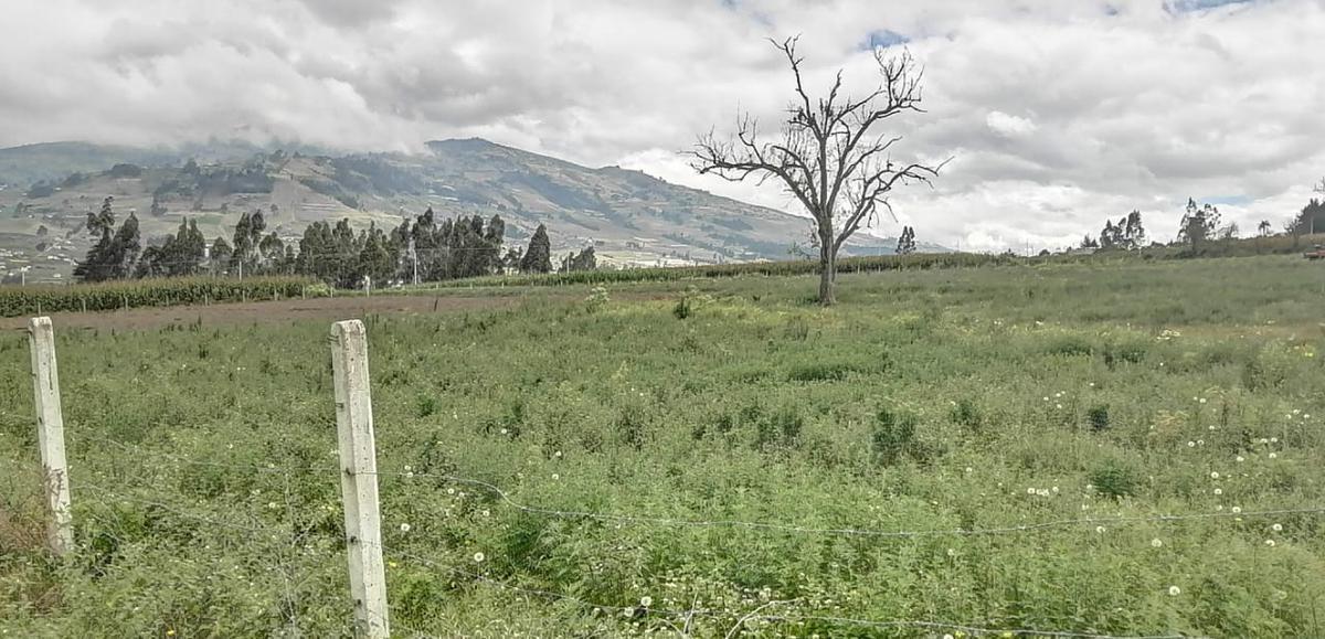 Terreno en Venta en Unamuncho Ambato. 4 Hectáreas. Tungurahua — imagen 7