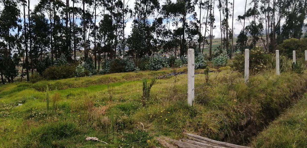 Terreno en Venta en Unamuncho Ambato. 4 Hectáreas. Tungurahua — imagen 6