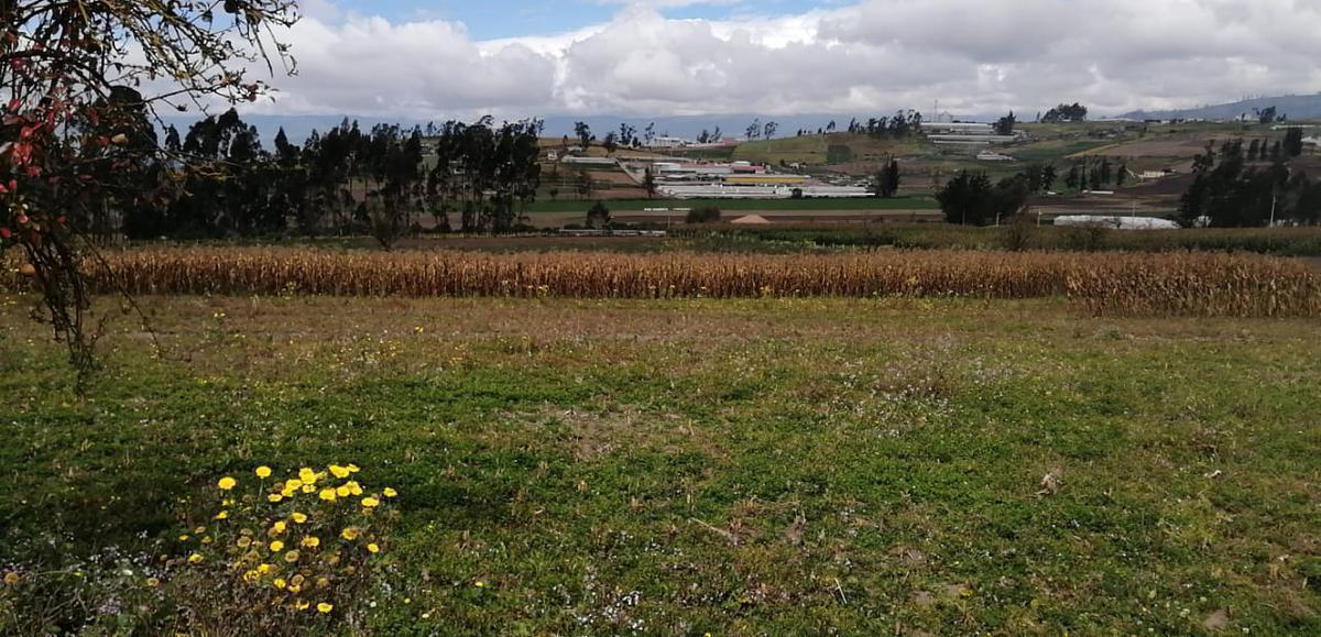 Terreno en Venta en Unamuncho Ambato. 4 Hectáreas. Tungurahua — imagen 2