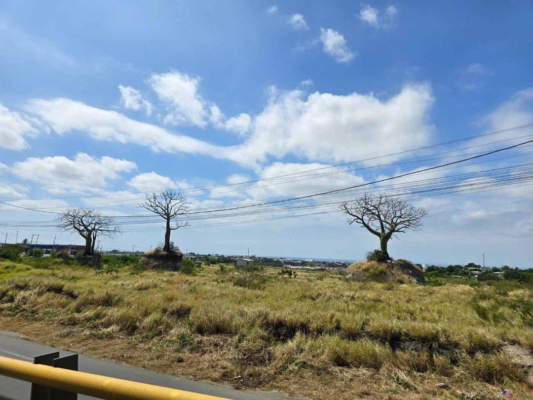 Terreno de Venta en Manta Via Circunvalacion Gj/z, Manabí — imagen 8