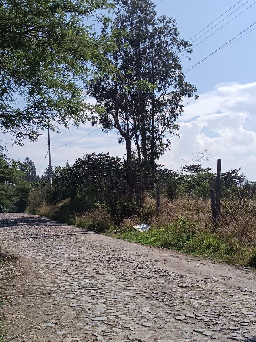 1000 m² de Terreno con Cerramiento y Frente a La Calle en Nayon — imagen 6