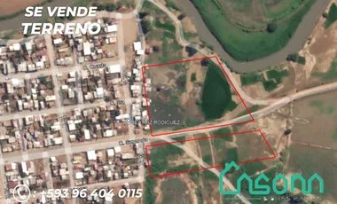 Terreno en venta en Babahoyo — imagen 5