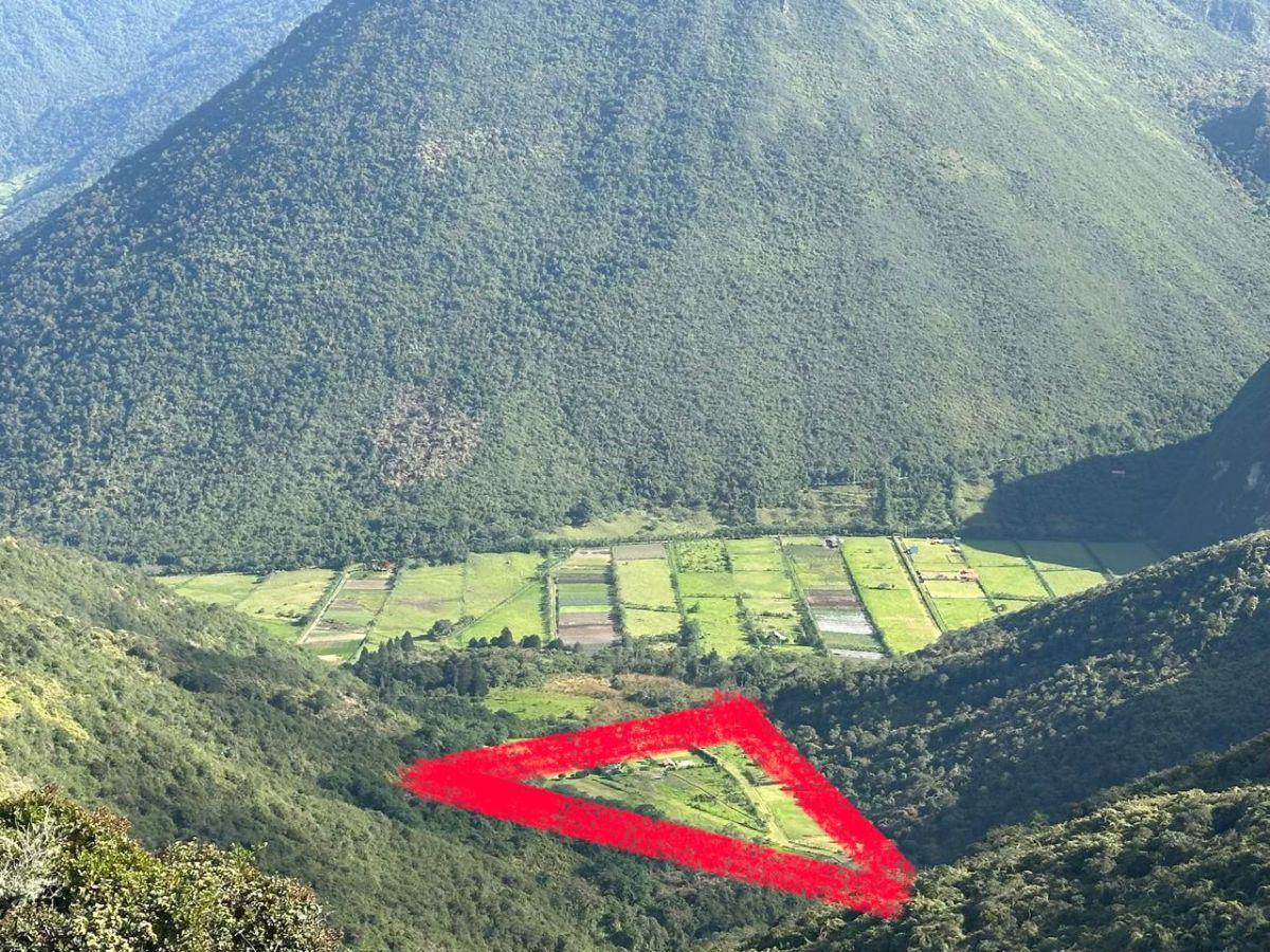Quintas Campestres de Venta en Quito, Sector Crater del Pululahua — imagen 8