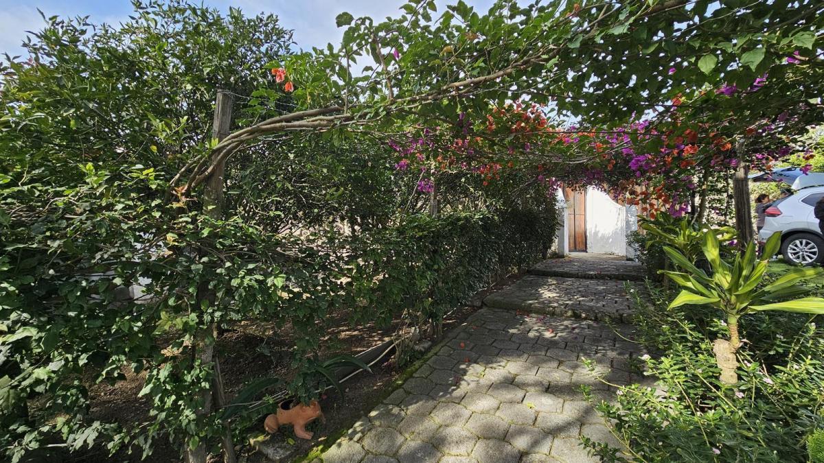 Venta Terreno con Árboles Frutales en Guayllabamba un Solo Dueño, Ideal Como Inversión — imagen 10