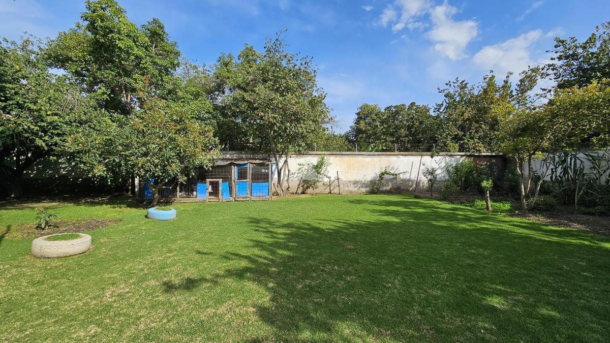 Venta Terreno con Árboles Frutales en Guayllabamba un Solo Dueño, Ideal Como Inversión — imagen 8
