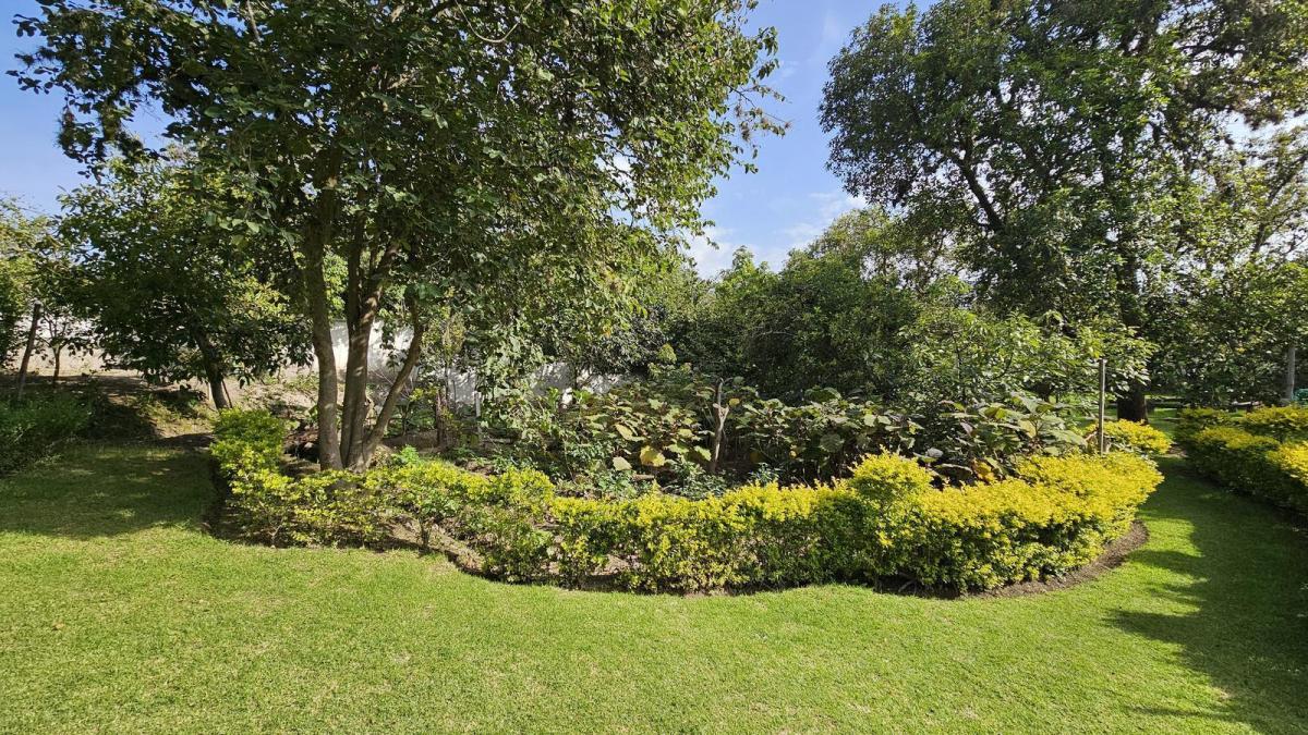 Venta Terreno con Árboles Frutales en Guayllabamba un Solo Dueño, Ideal Como Inversión — imagen 7