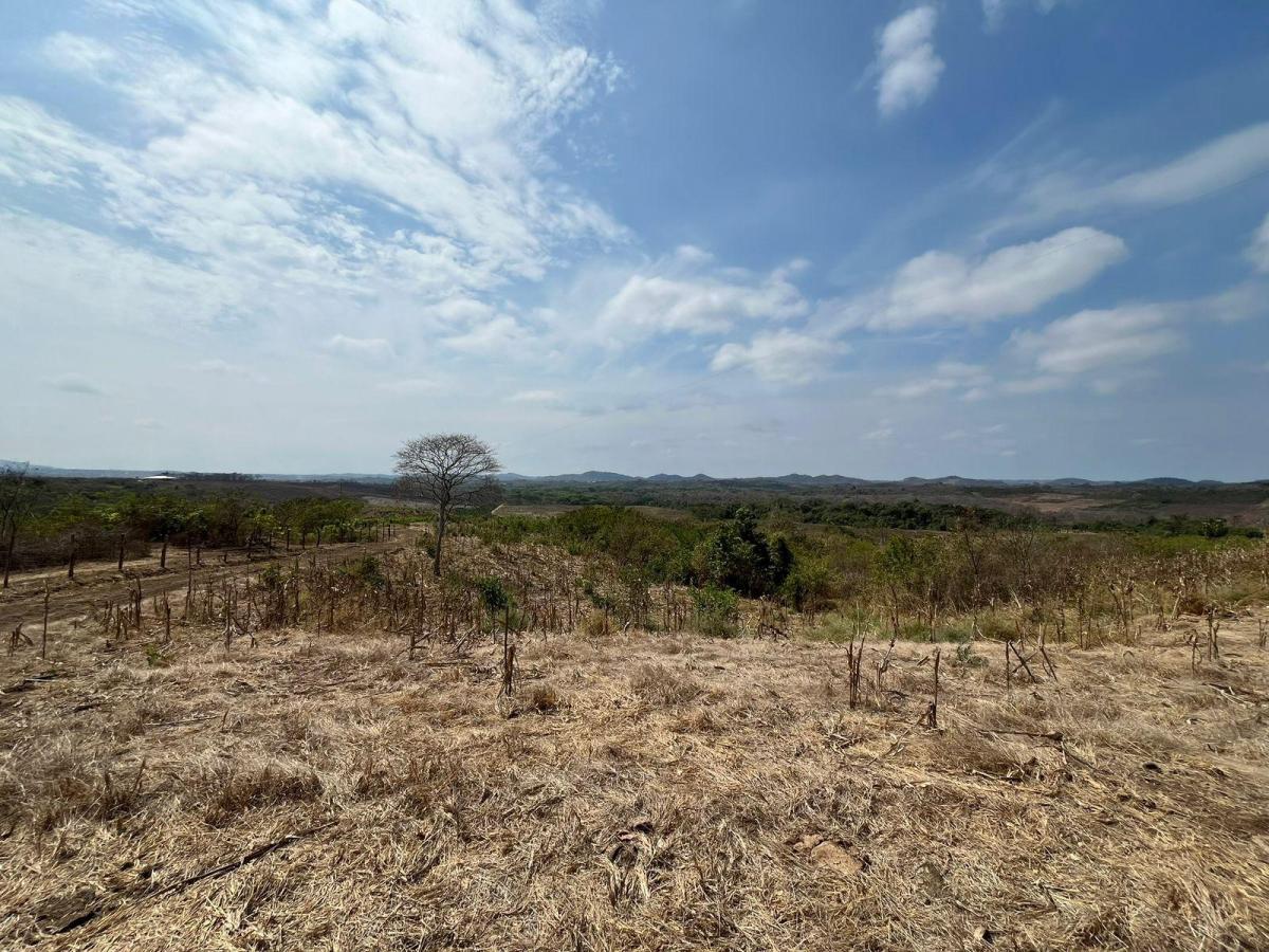 Vendo Terrenos Agricolas en Sector Chongon Guayaquil, Guayas — imagen 9