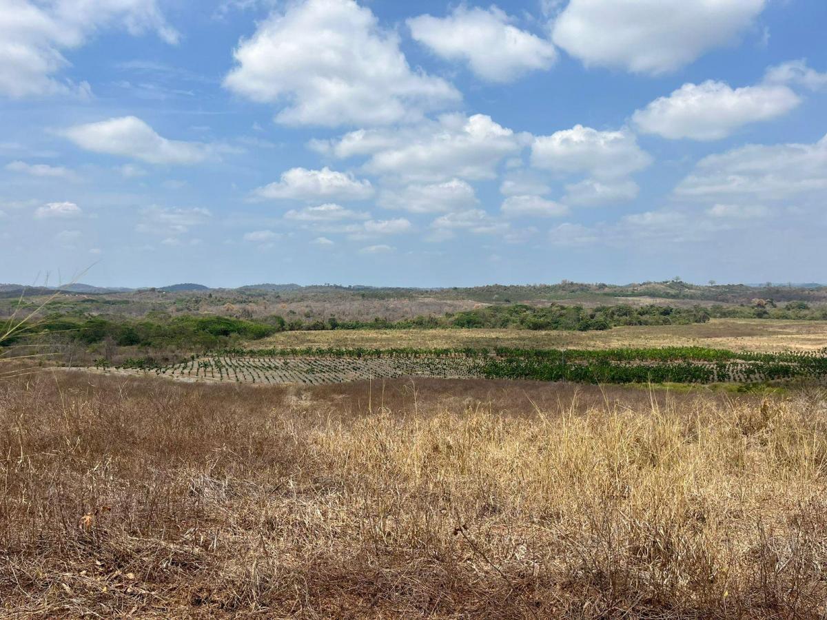Vendo Terrenos Agricolas en Sector Chongon Guayaquil, Guayas — imagen 7