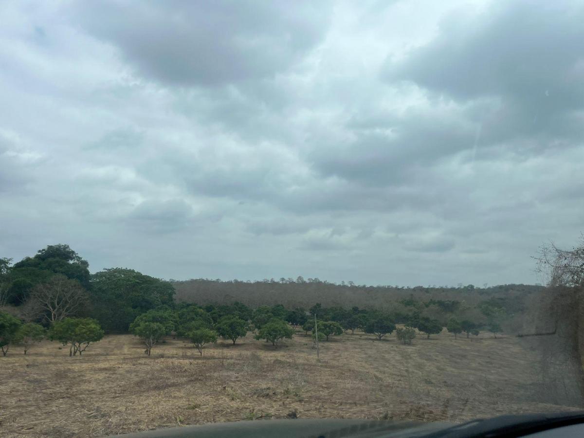 Vendo Terrenos Agricolas en Sector Chongon Guayaquil, Guayas — imagen 6