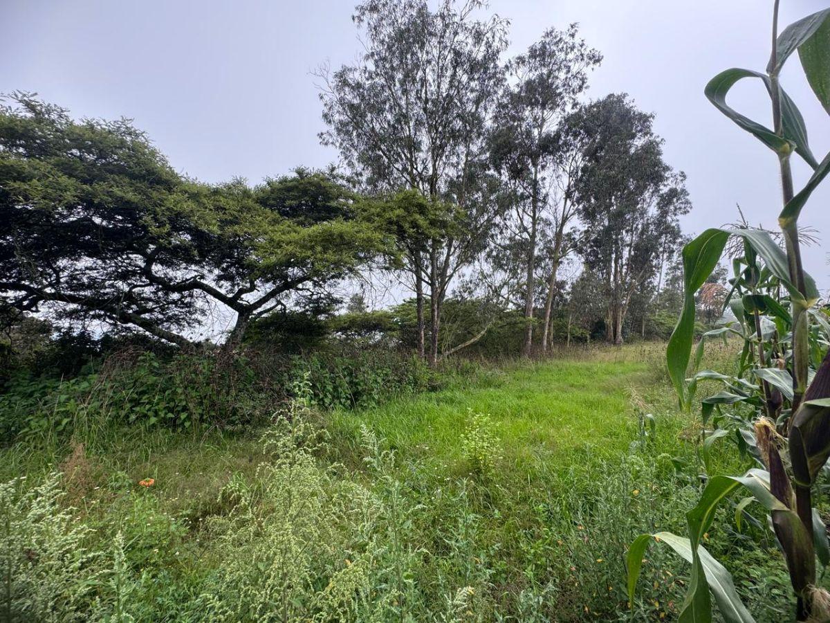 Terreno de 1057 m² en Venta en Llano Chico — imagen 9