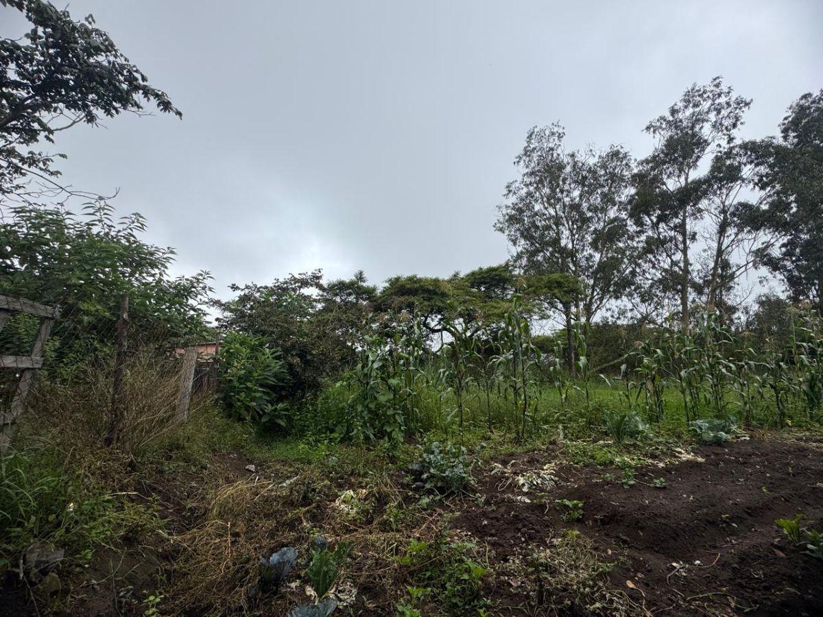 Terreno de 1057 m² en Venta en Llano Chico — imagen 8