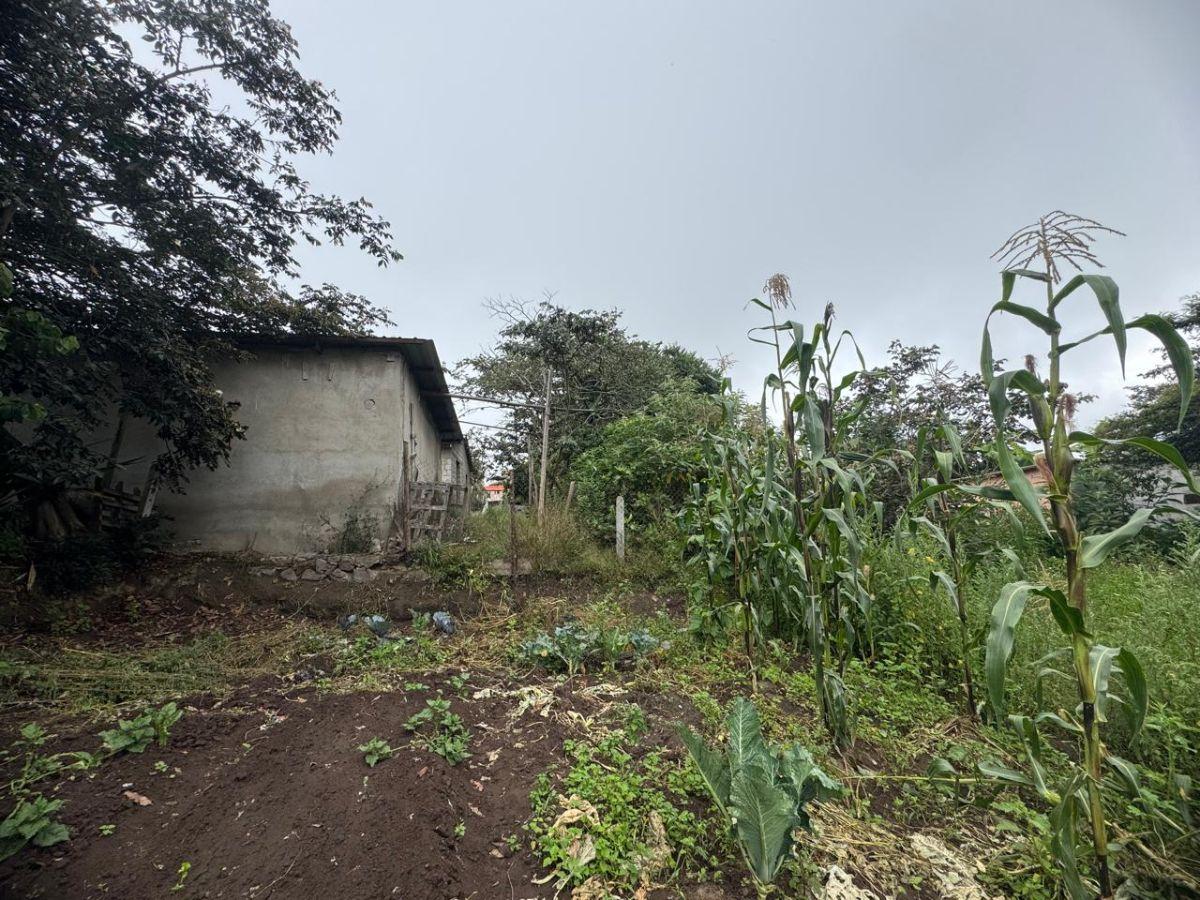 Terreno de 1057 m² en Venta en Llano Chico — imagen 7