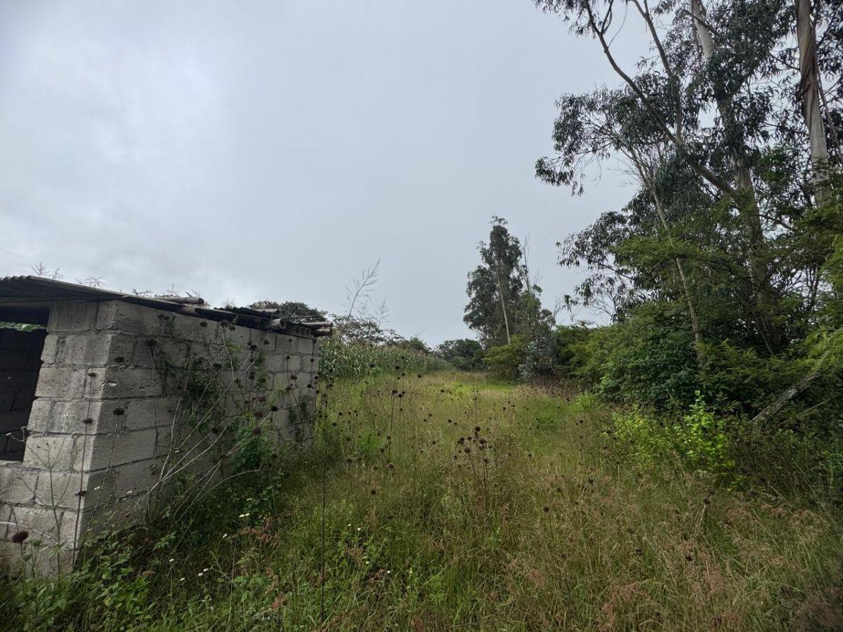 Terreno de 1057 m² en Venta en Llano Chico — imagen 6
