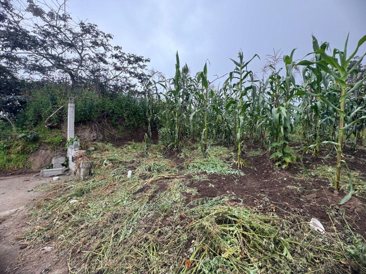 Terreno de 1057 m² en Venta en Llano Chico — imagen 2
