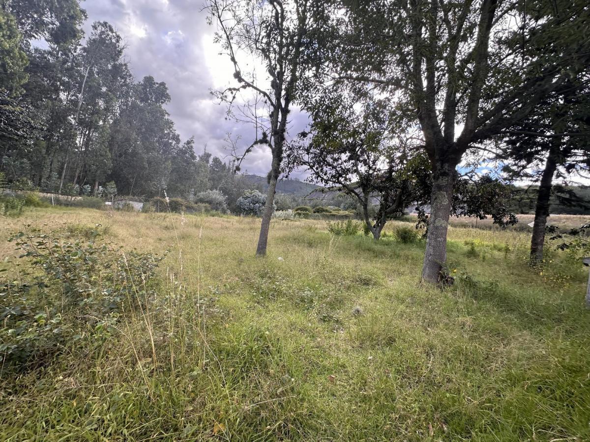 Venta Terreno Cumbaya Sector Yanazarapata — imagen 7