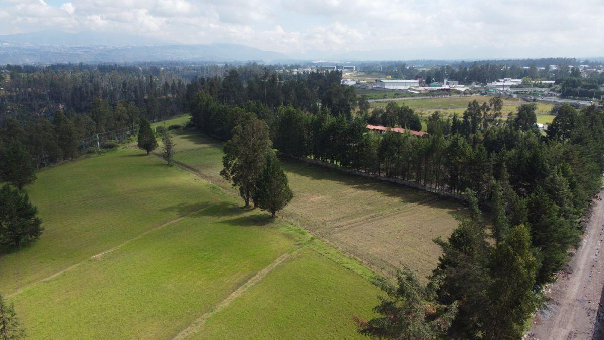 12 Hectáreas con Alto Potencial Industrial y Logístico a Minutos de Tababela y La E35 — imagen 7