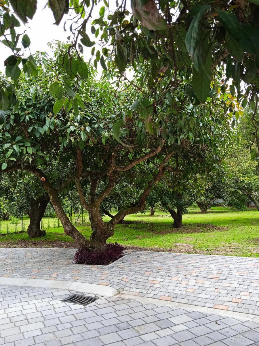 Lindo Terreno en Urbanización Exclusiva — imagen 10