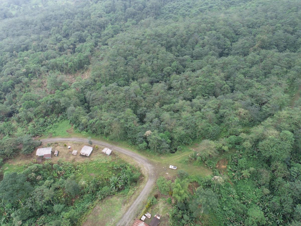 En Venta Hacienda de 475 Hectáreas, Los Ríos - J. Zavala, Los Ríos — imagen 6