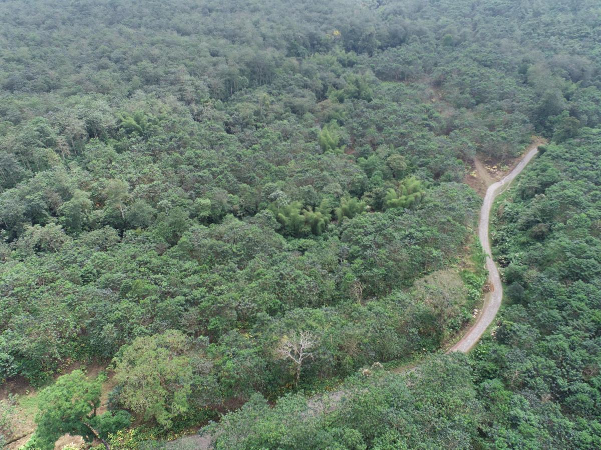 En Venta Hacienda de 475 Hectáreas, Los Ríos - J. Zavala, Los Ríos — imagen 5