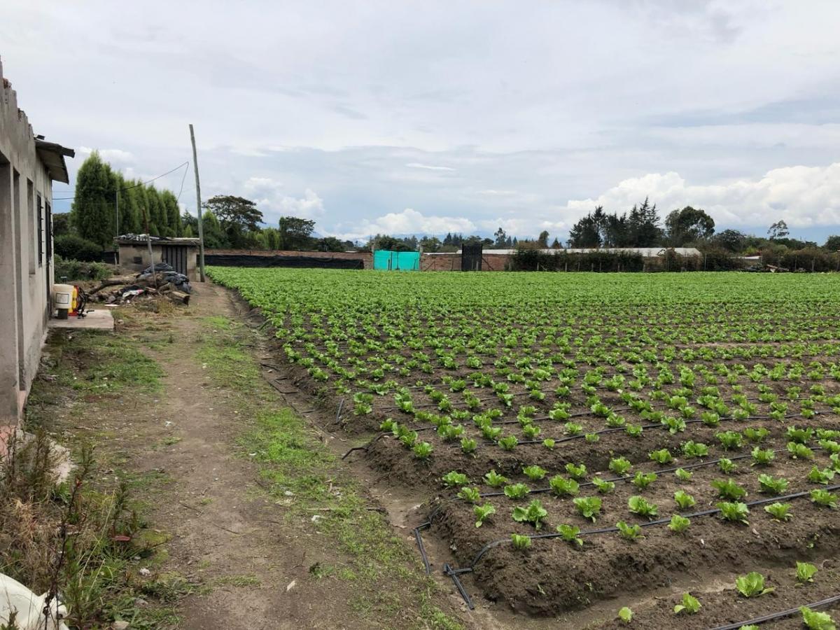 De Venta Terreno Plano de 6300 m² — imagen 2