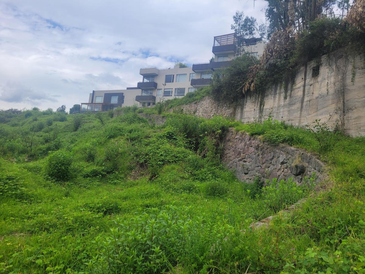 Terreno de Venta en Cumbaya — imagen 9