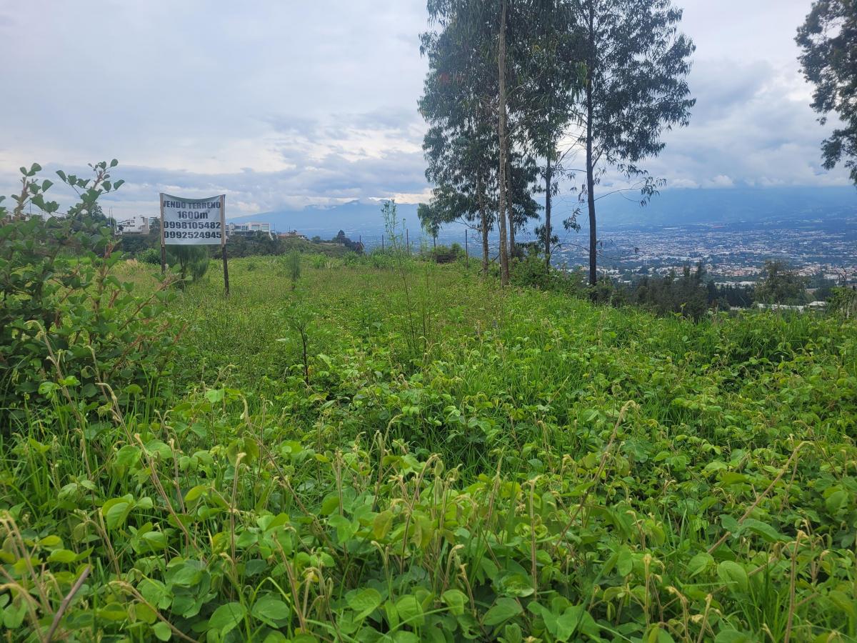 Terreno de Venta en Cumbaya — imagen 8