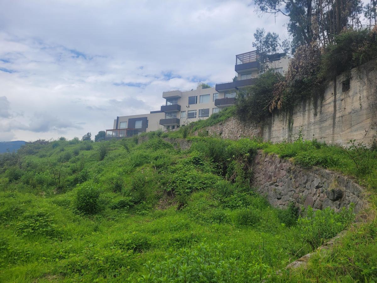 Terreno de Venta en Cumbaya — imagen 7
