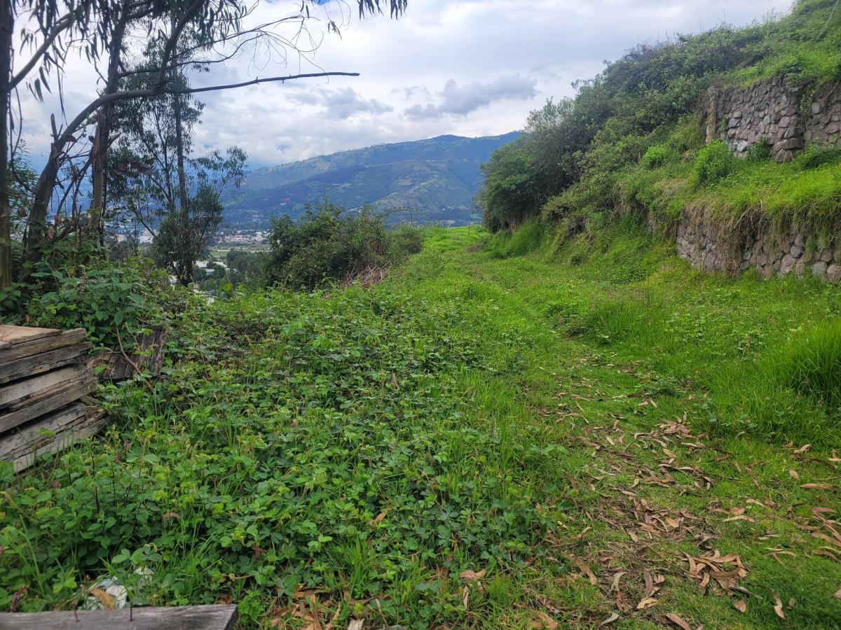 Terreno de Venta en Cumbaya — imagen 2