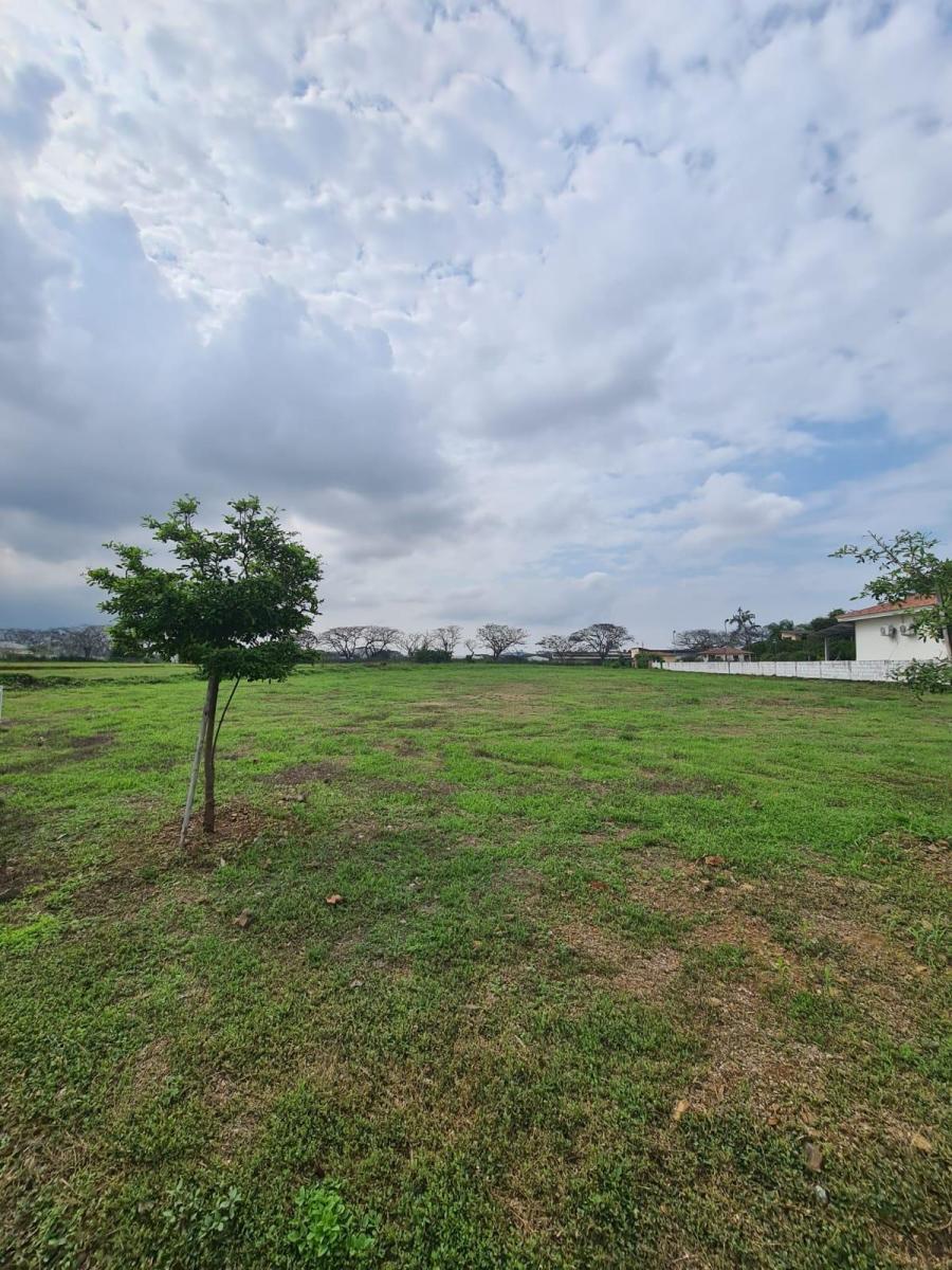 En Venta Terreno en Urbanización El Cortijo, Vía a Samborondon, Guayas — imagen 10