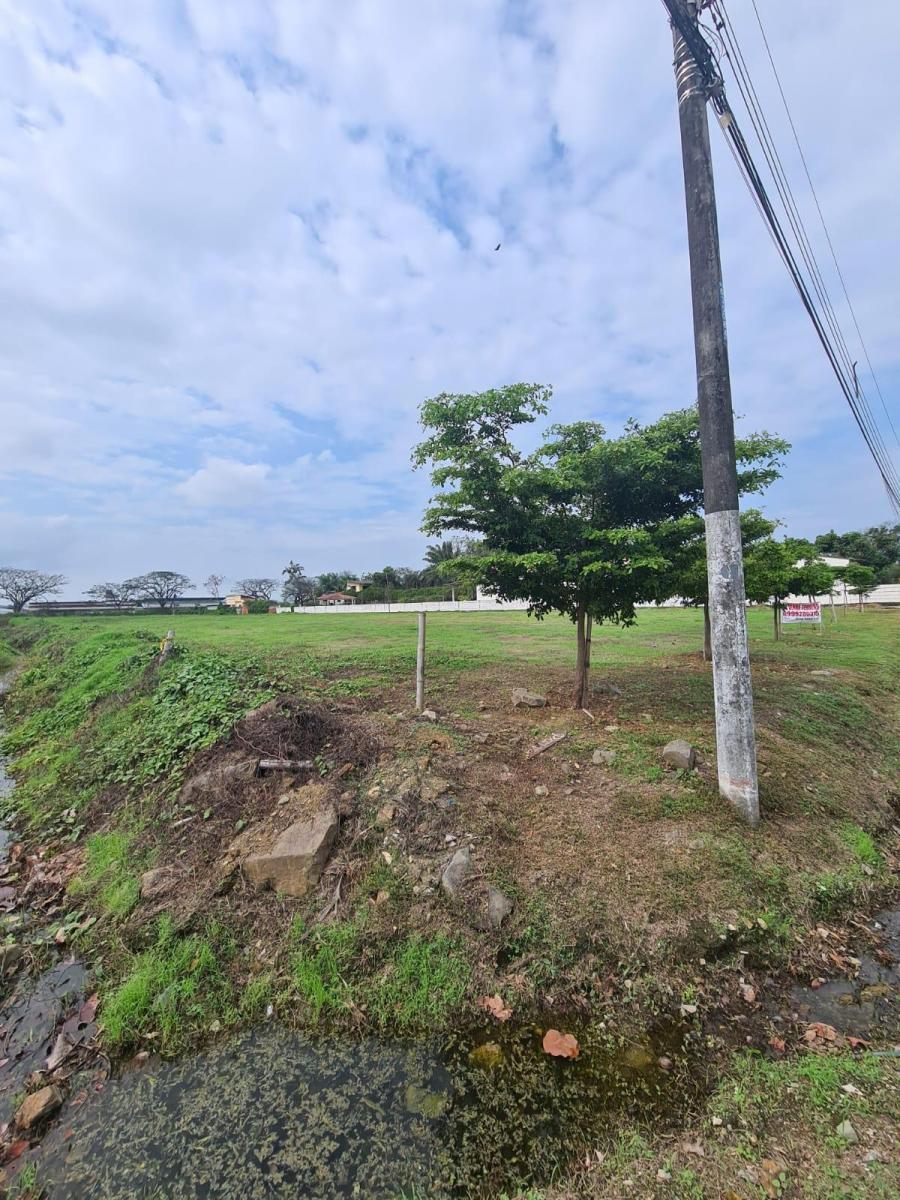 En Venta Terreno en Urbanización El Cortijo, Vía a Samborondon, Guayas — imagen 8