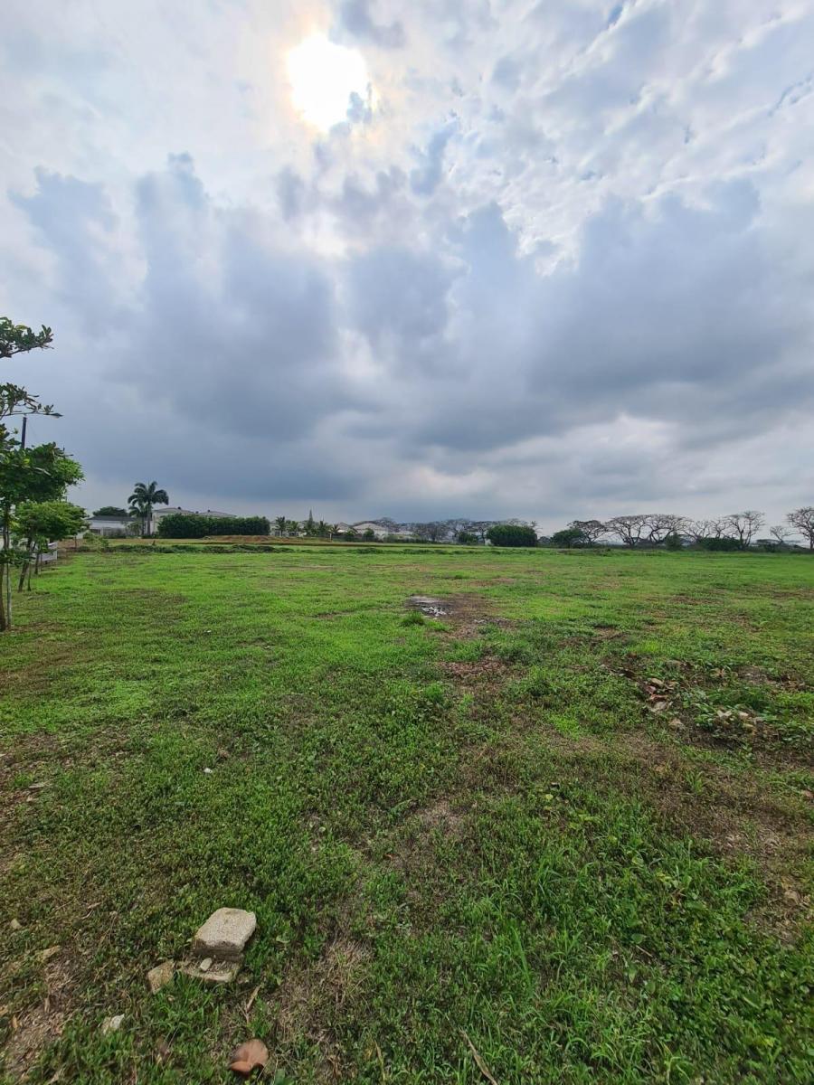 En Venta Terreno en Urbanización El Cortijo, Vía a Samborondon, Guayas — imagen 7