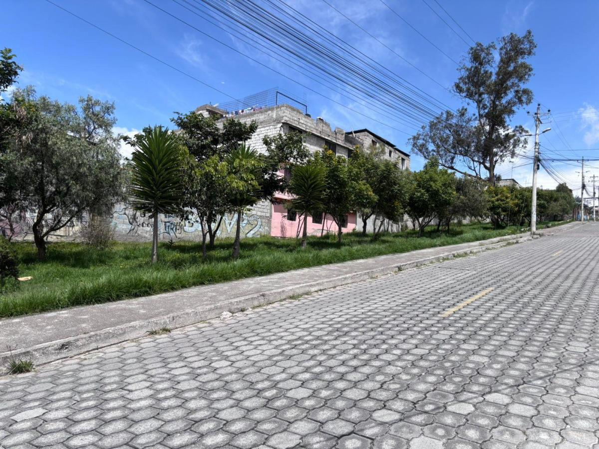 Terreno en Venta San Jose de Moran — imagen 5