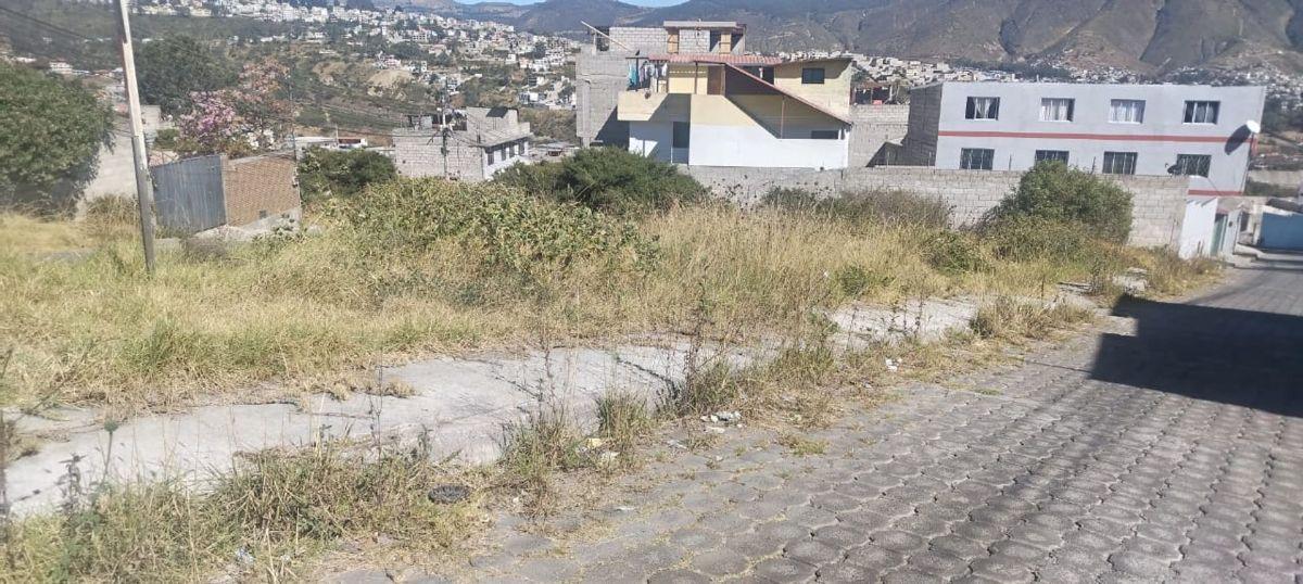 Terreno en Venta - Sector Calderon (406 M²) — imagen 6