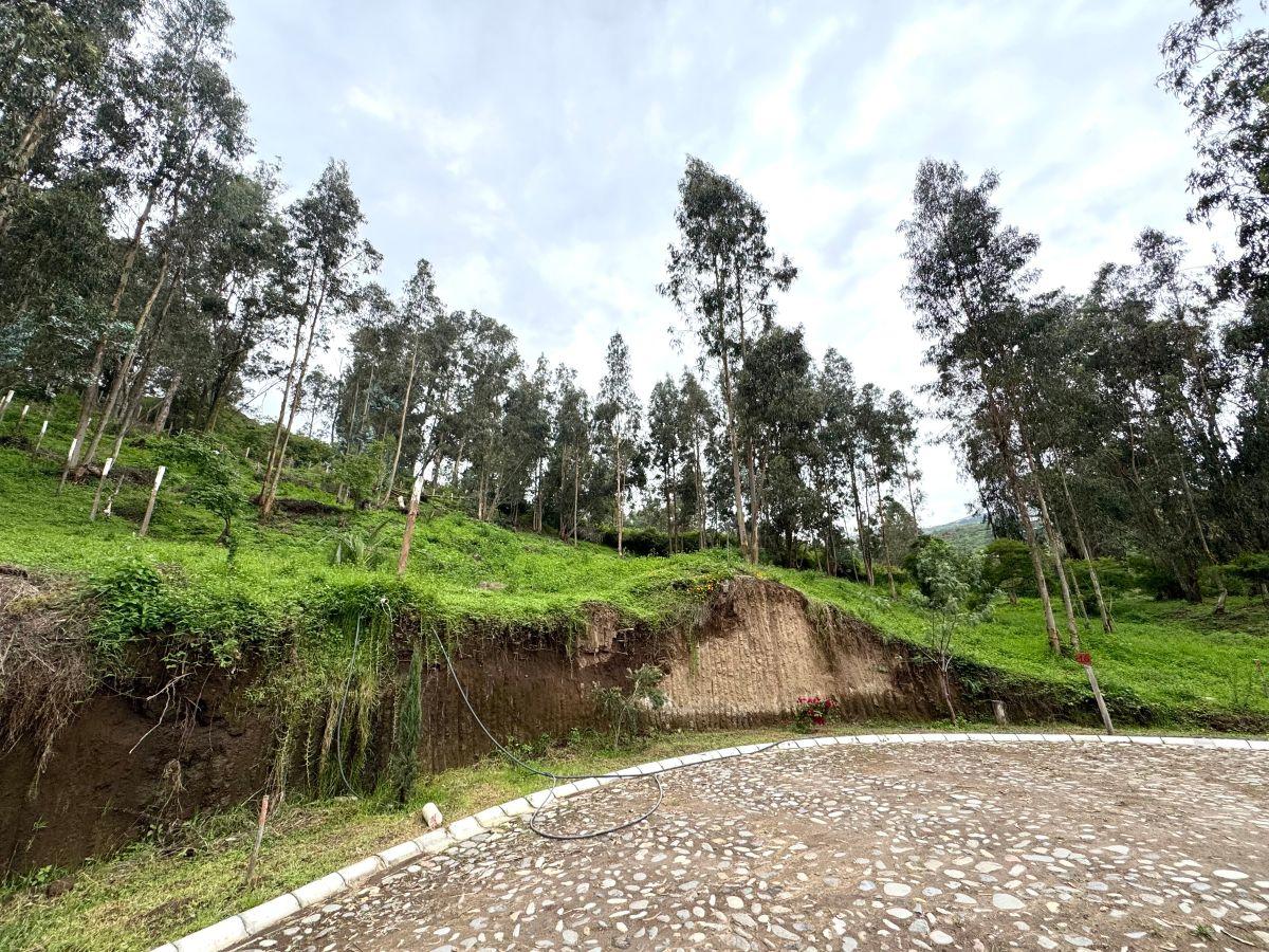 Terreno de Venta La Cerámica 2.257 m $496.000 — imagen 8