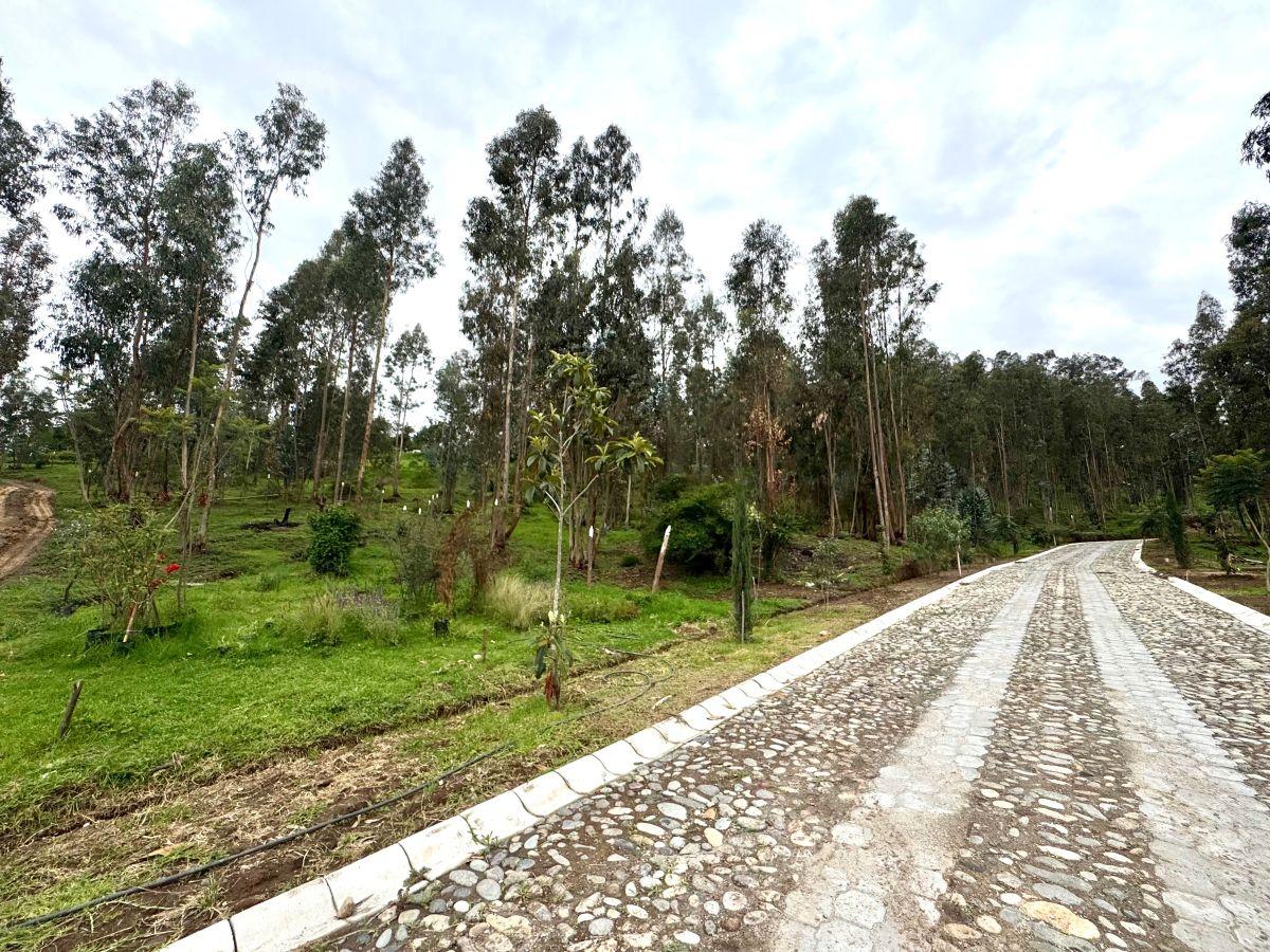 Terreno de Venta La Cerámica 2.257 m $496.000 — imagen 7