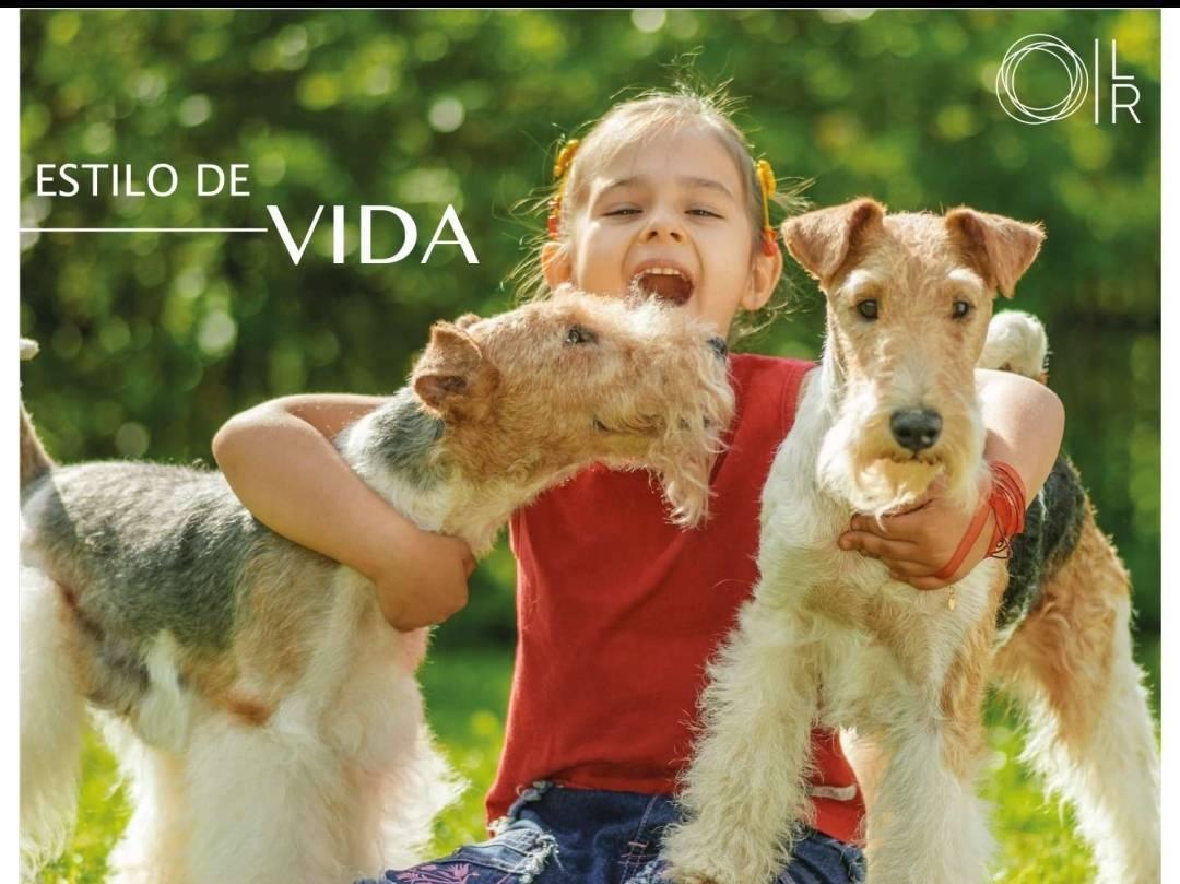 Hermoso Terreno de Venta en Urbanización Privada — imagen 7
