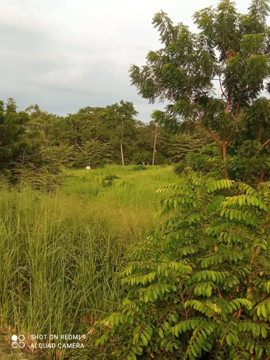 Venta 1.600.000 m² (160 Has) en Chongon - Daular, Cerca del Club de Aeromodelismo del Guyas, Guayas — imagen 6