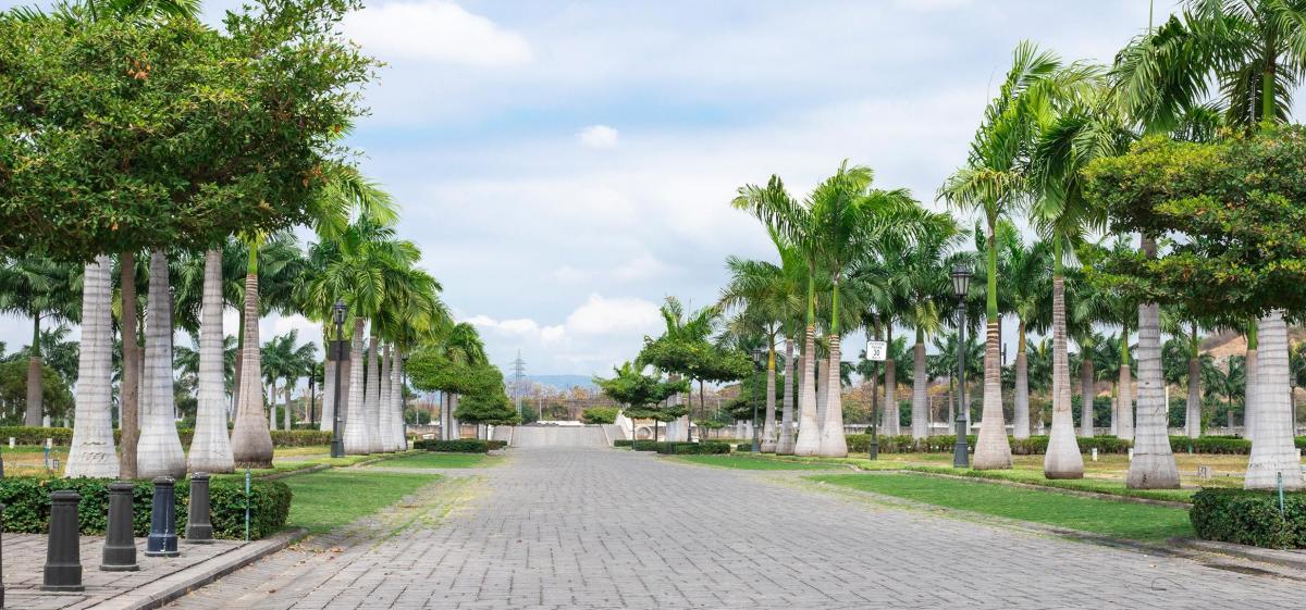 Terreno a La Venta en Aires del Batan Listo Para La Compra. Guayas — imagen 6