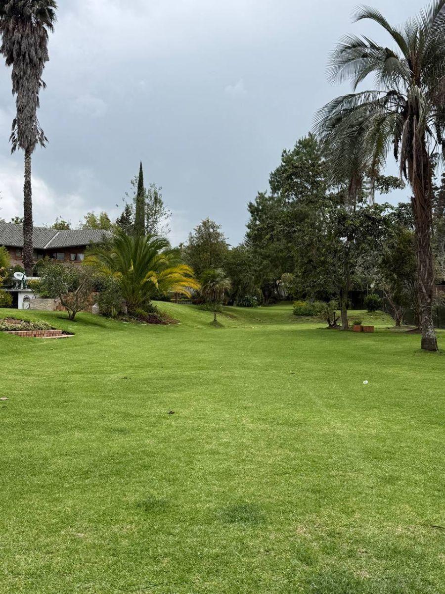 Terreno - en Venta - Tumbaco - 907 m² — imagen 10