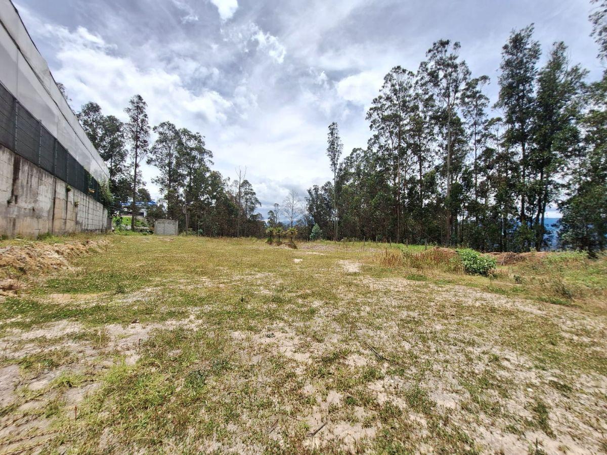 Venta Terreno Industrial 2495 m², Valle de Los Chillos, Puente Tres — imagen 8