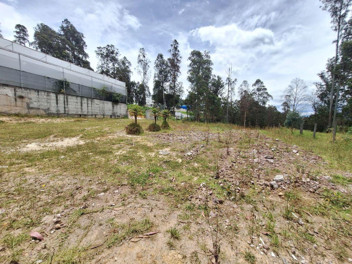 Venta Terreno Industrial 2495 m², Valle de Los Chillos, Puente Tres — imagen 6